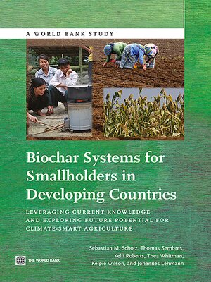 cover image of Biochar Systems for Smallholders in Developing Countries